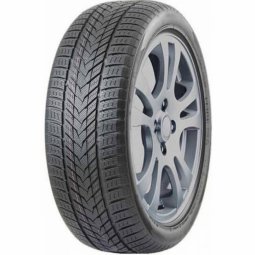 ILINK SNOWGRIPPER 2 255/50 R19 107H  
