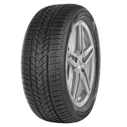 ARIVO WINMASTER PROX ARW5 265/50 R19 110H  